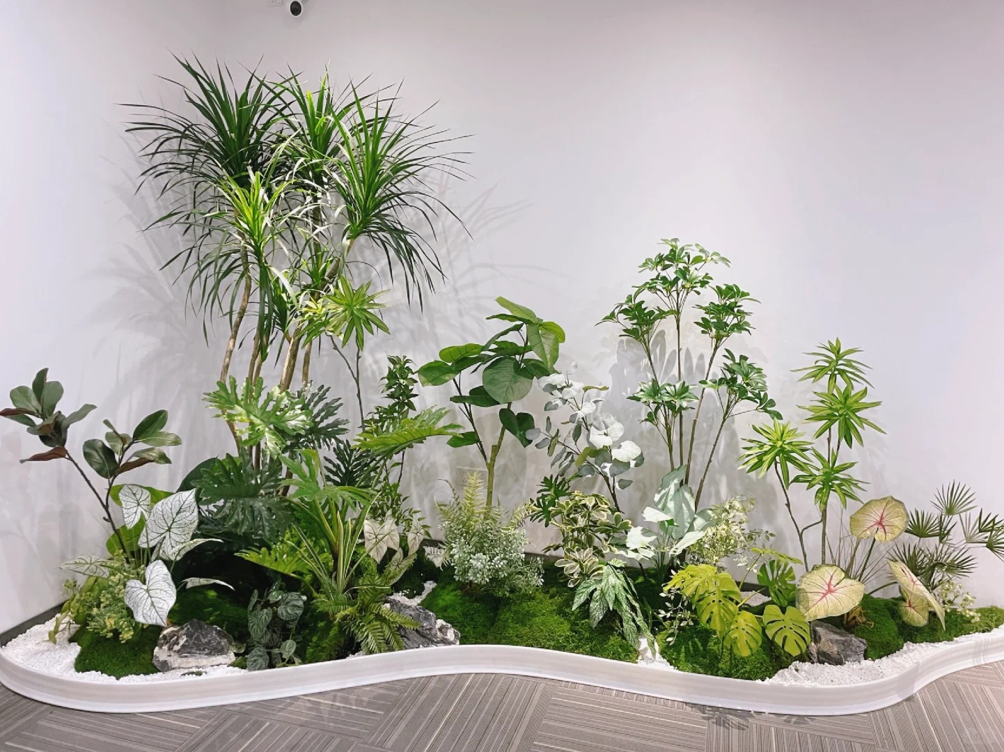 镇海花木租摆交易平台-海曙绿植租摆装饰效果-宁波花卉租摆包装-北仑办公室花木租赁
